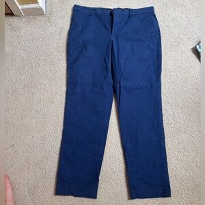Blue Express Pants